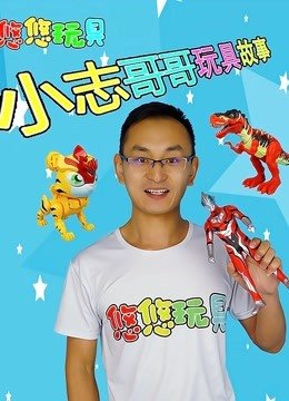 小志哥哥玩具故事