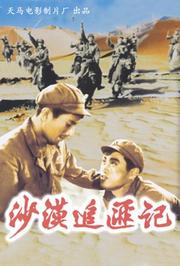 沙漠追匪记（1959）