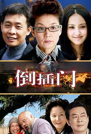 新上门女婿TV版