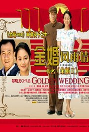 金婚风雨情TV版