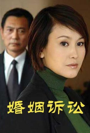 婚姻诉讼