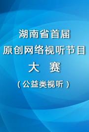湖南省首届原创网络视听节目大赛（公益类视听节目）