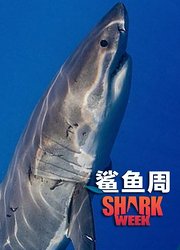 鲨鱼周：僵尸大白鲨之谜