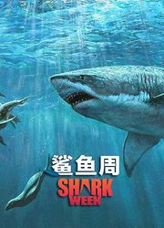 鲨鱼周：菲尔普斯VS鲨鱼