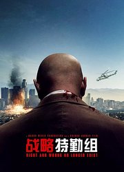 战略特勤组（2010）