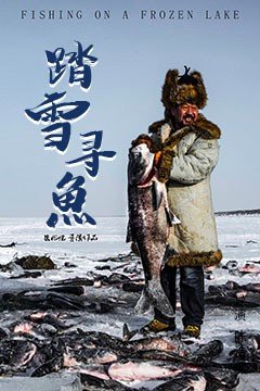 踏雪寻鱼