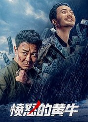 愤怒的黄牛