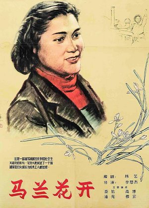 马兰花开