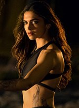 《极限特工》夺票房冠军 动作场面获赞爽爆肾上腺