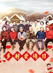 乡村爱情11
